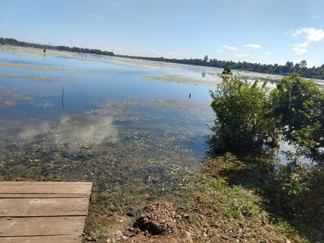 IMG_20181129_104355462_HDR