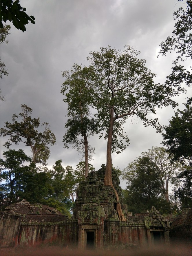 IMG_20181129_142836850_HDR