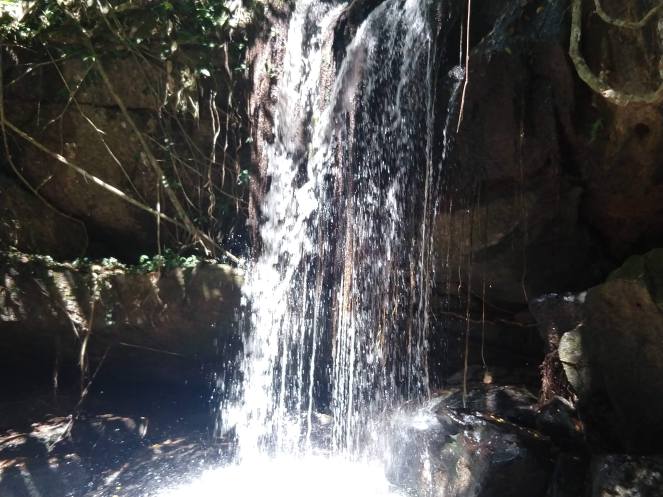 IMG_20181130_112326212