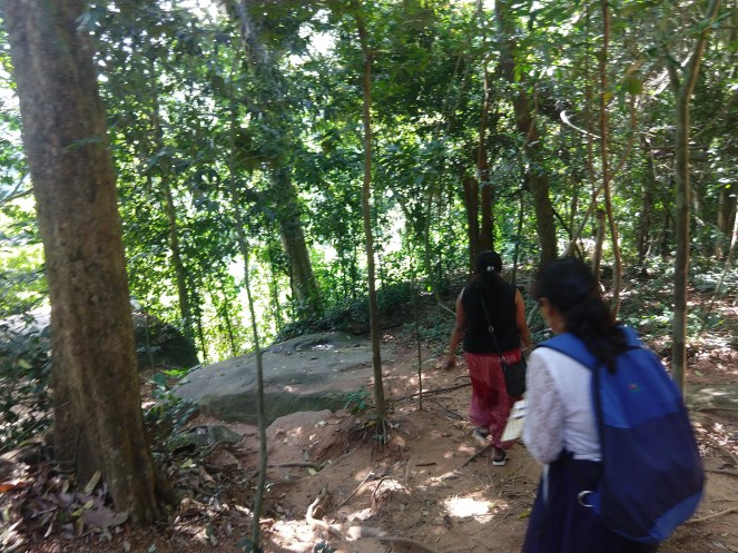 IMG_20181130_114837259