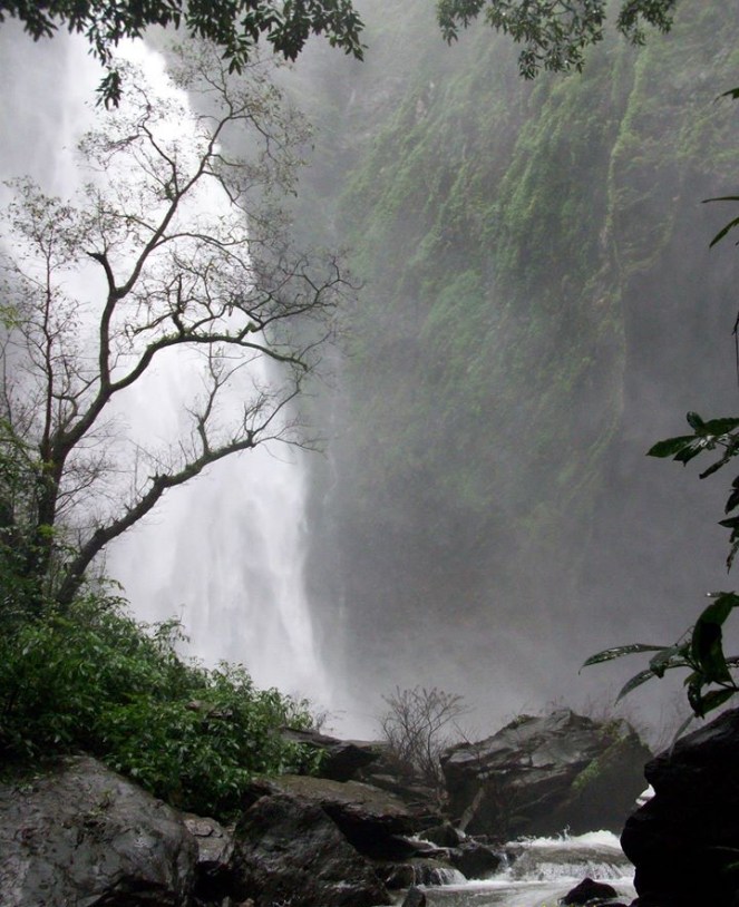 277515_503103583051483_2115098729_o