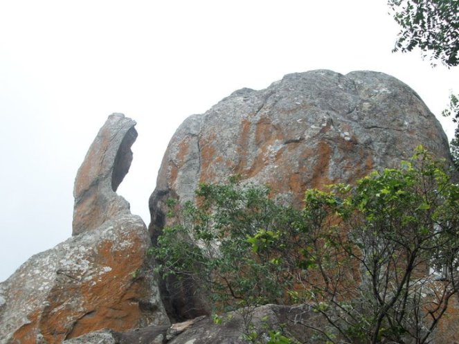 61534_1595301091922_1638495_n